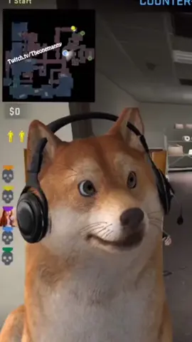 DOG IS AN ENTIRE VIBE  #theonemanny #vibe #GamingOnTikTok #mariokart 