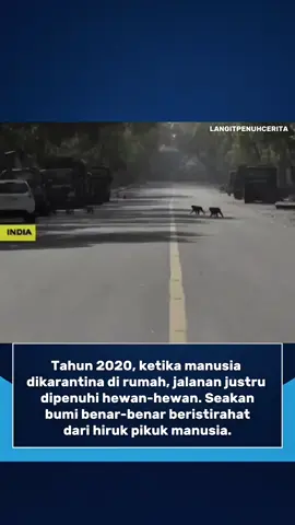 Tahun 2020 menjadi momen bersejarah ketika pandemi membuat manusia harus tinggal di rumah dan membatasi aktivitas. Jalanan yang biasanya dipenuhi kendaraan dan keramaian, tiba-tiba berubah menjadi sepi. Namun, di balik kesunyian itu, hewan-hewan kembali muncul dan berjalan bebas seolah-olah bumi sedang mengambil napas. Peristiwa ini mengingatkan kita bahwa alam selalu bisa pulih ketika diberi kesempatan. Dari momen tersebut, kita belajar pentingnya menjaga keseimbangan antara manusia dan lingkungan agar bumi tetap menjadi rumah yang nyaman, bukan hanya bagi kita, tapi juga untuk semua makhluk hidup. Follow Akun Ini Untuk Video Menarik Lainnya. ©All Rights and Credits Reserved To The Respective Owner(s). Please Contact Us For Credit or Removal. #covid19 #dirumahaja #hewan #foryou #fyp 
