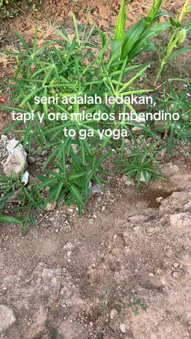 @_yogaptra11 