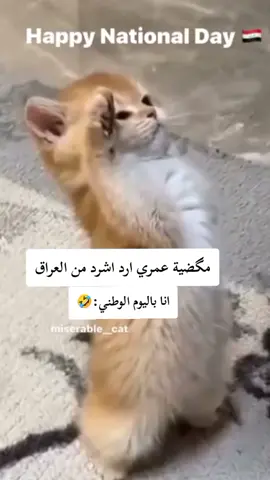عاش العراق العظيم #اكسبلور #viral #fyp #greenscreen #Iraq 