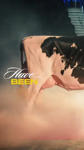 I was supposed to be in Madison today shooting some amazing new reels and photos… but instead, I’m watching the livestream from home 😅🐄 No worries though, the season’s not over yet! We’ve got some awesome events coming up, and I can’t wait to share more of the best cow content with you all 🤍🐄 Make sure to follow for even more moo moments: 🐮TikTok: @fleur_maartje_ 📸 Instagram: @byfleurmaartje_ 🎥Facebook: @photosbyfleurmaartje Want an epic reel of your cow too? 🐮✨ Send me a message! In a world where social media is everything, good video content is the perfect match for beautiful cow photography 🤩 #cows #dairy #WorldDairyExpo #koeien #dairyshow 