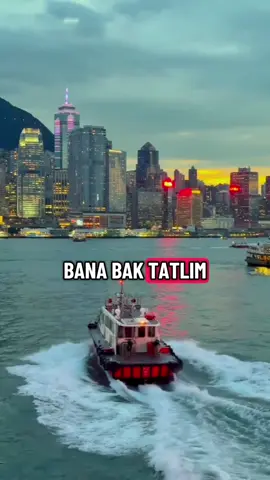 #kesfetbenideall #kesfetbenibul #beniöneçıkarttttt #keşfetbenitiktok #keşfetalbeni 
