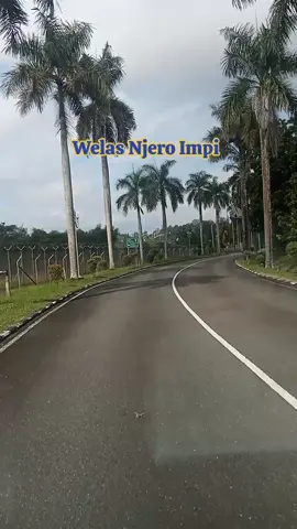 Welas Njero Impi  #lagubanyuwangi 