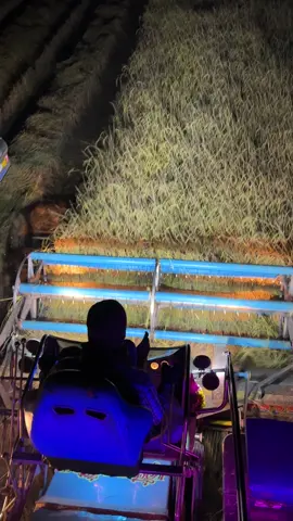 ใกล้แล้วอีก10กว่าวัน✌️#ข้าวปีอีสาน#นาคเกิดเจริญทรัพย์ #ป๋าออดรถเกี่ยว #เสี่ยไนท์_นาคเกิดเจริญทรัพย์ #ไม่ชอบก็เฉยไว้👌 