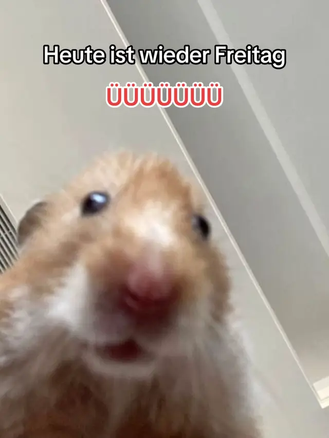 #relatablecontent #fyyyyyyyyyyyyyyyyyyy #repost #virallllllllllllll #fyppppppppppppppppppppppp 