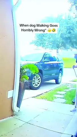 When Dog Walking Plans Go Wrong🤣🤣#dog#funny#funnyanimals#funnypets#animals #dogsofttiktok #pet #foryou #longervideos