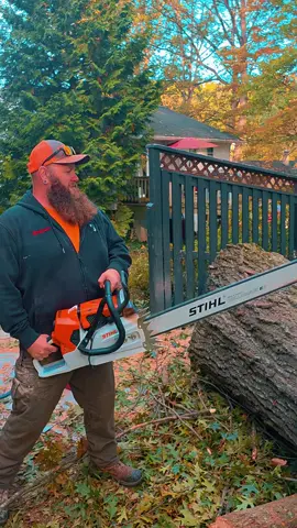 #pennsylvania #tree #stihl #ms881 @Undaunted_Manufacturing 