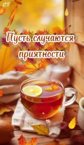 Порадуйте своих близких ,знакомых завтра утром такими пожеланиями 🙏 #вамжелаю #доброе_утро #осень2025