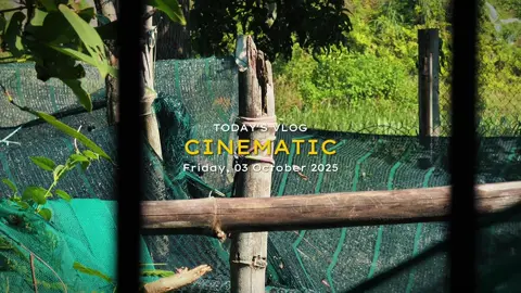 Vlog Cinematic 4 video #templatecapcut #capcut_huutuyen77 #capcut #capcutpioneer #pioneertemplate