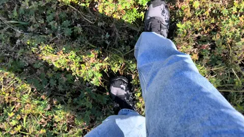 #141 #nature #savenature #swizerland #mountains  141 