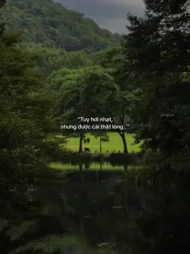 #minh_tien483 #fyp #xuhuongtiktok 