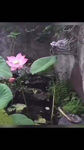 Rate it 1-10! ▶️ Tag someone who would love this. No copyright intended. Please send us a DM for any inquiries. #Home #design #art #painting #oct3