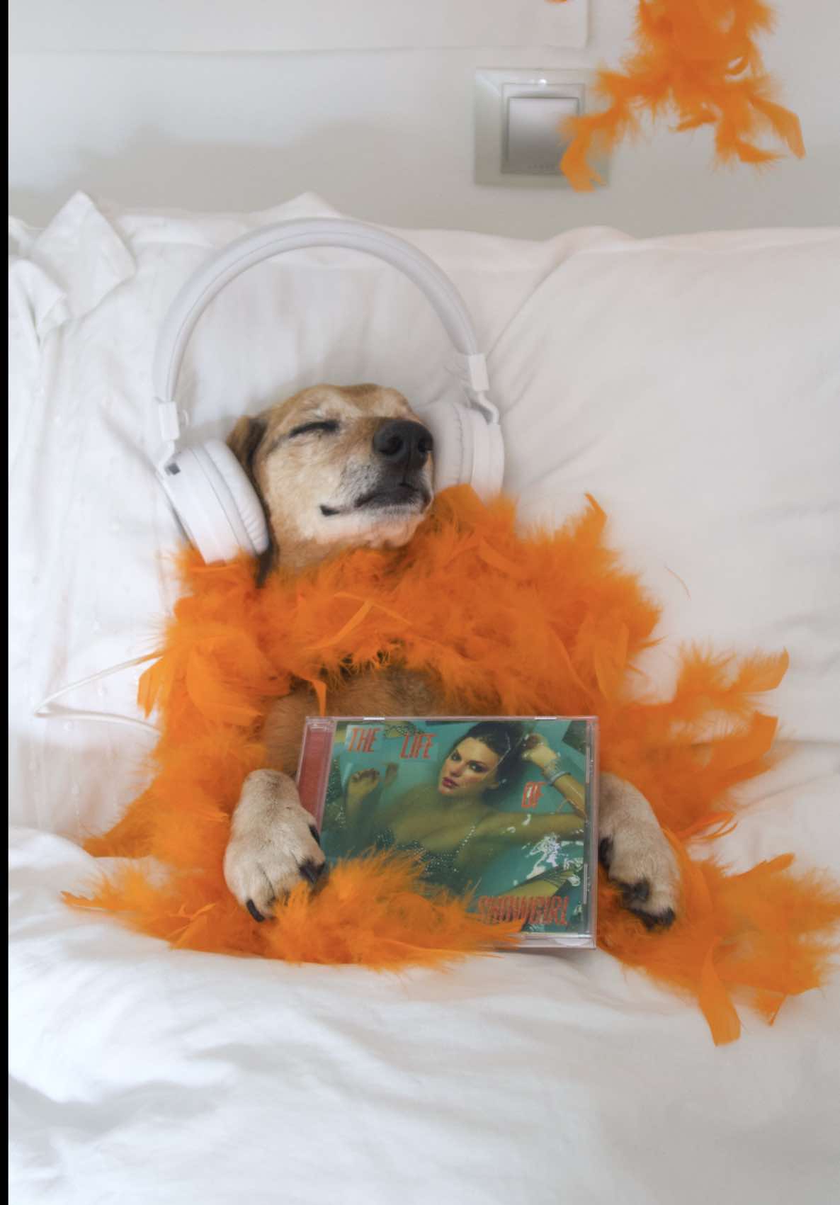 Never made no one like ✨THIS ALBUM✨ before @Taylor Swift 🧡 #TSTheLifeOfAShowgirl #TaylorSwift #Swiftie #SwiftTok