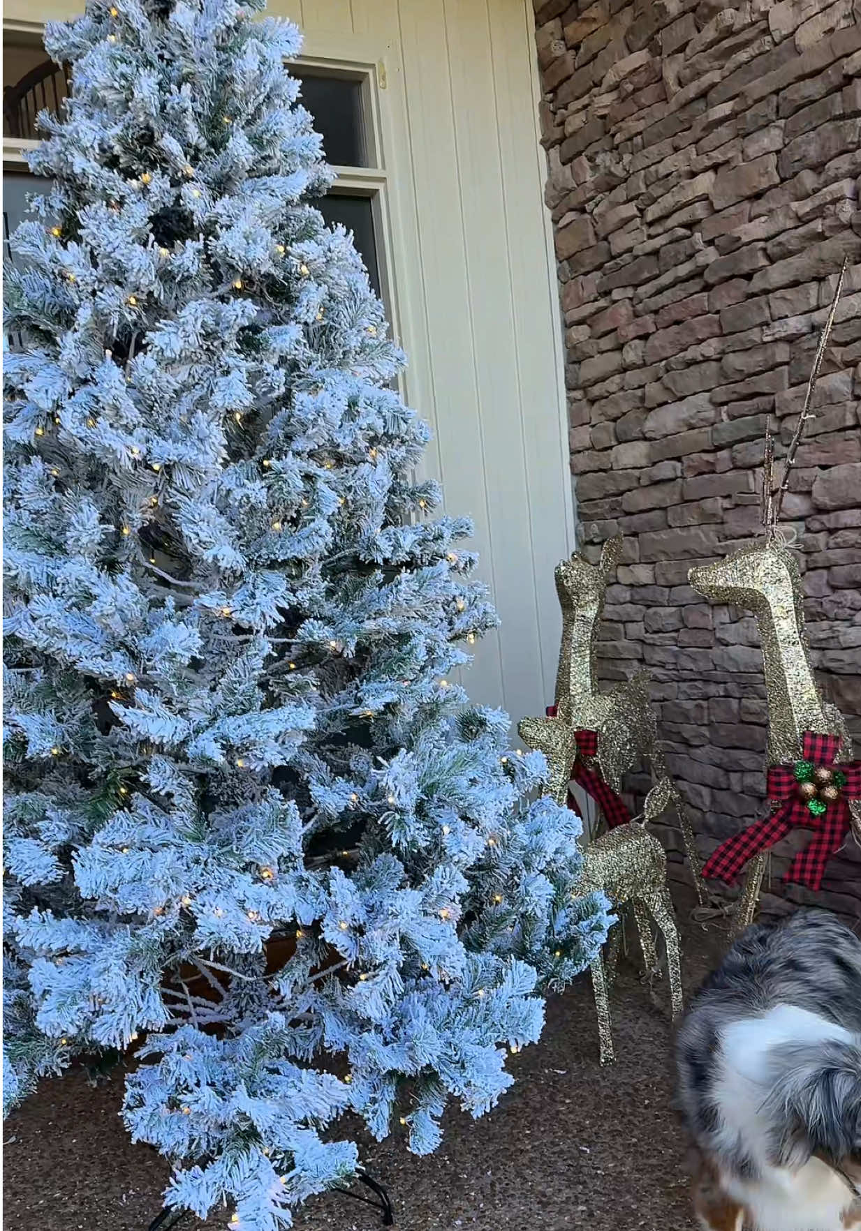 There are a few options! Check the link to see them #christmas #christmastree #artificialtree #flockedchristmastree #tiktokshopcreatorpicks 