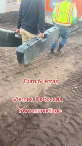 #murcielagos🦇🇲🇽 #nortecarolina🇲🇽🇺🇲 #foryou #fyp #parati 