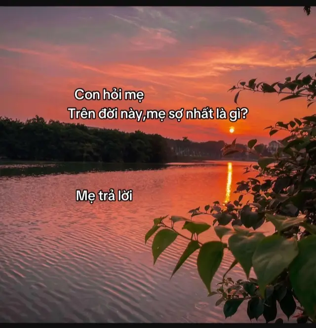 #thuongmenhieu. có mẹ có tất cả 