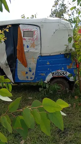 #creatorsearchinsights2025  # #MemeCut 