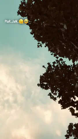 #Plar_Da_Para_Yao_Comeent_Okay_🫠🌹🌺🥹#my_new_account_plzz_sport #🌹💕🫠