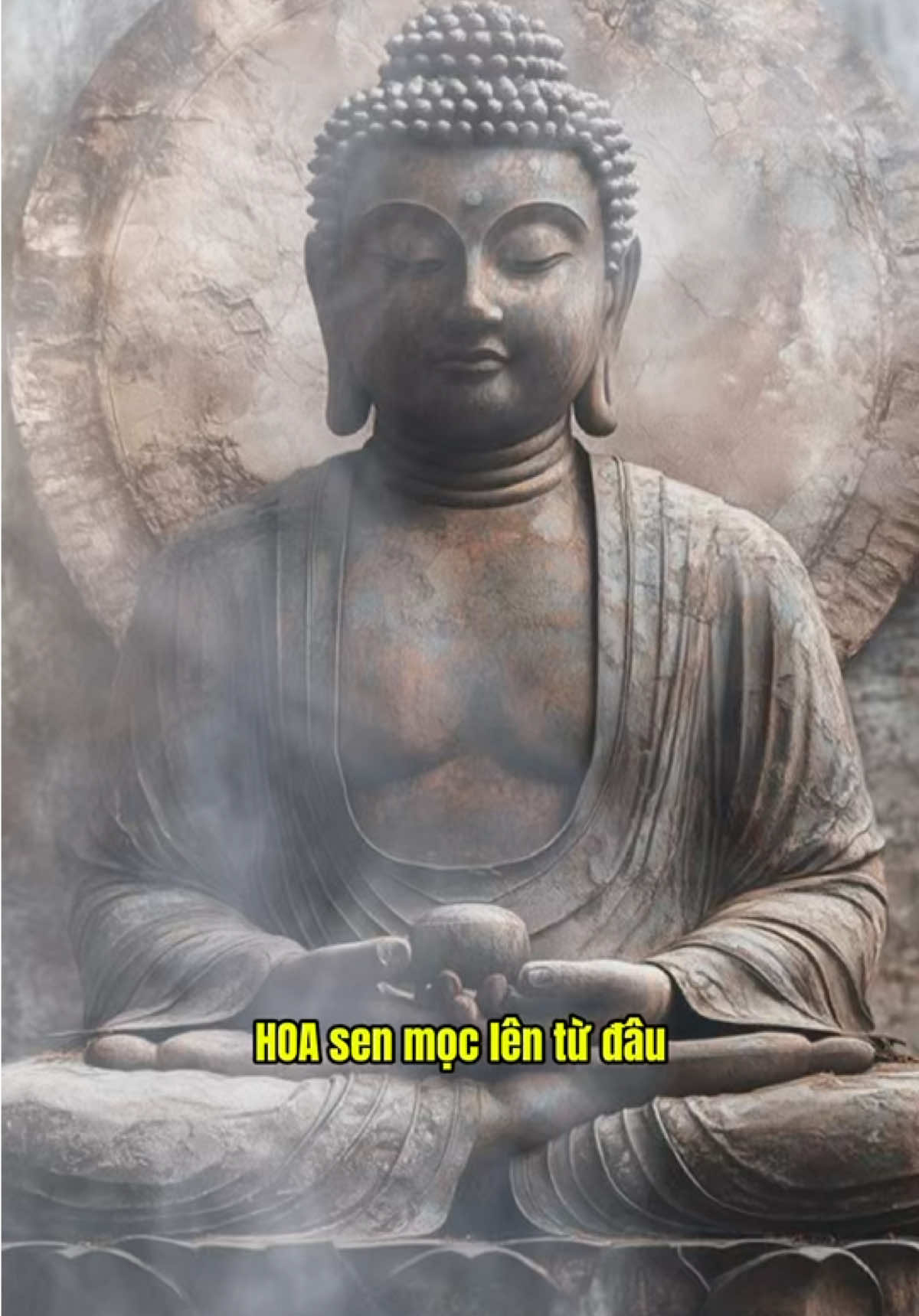 Hoa sen mọc lên từ đầu …. #phatphap #phatphapnhiemmau #annhien #loiphatday #chualanhtamhon #thayminhniem 