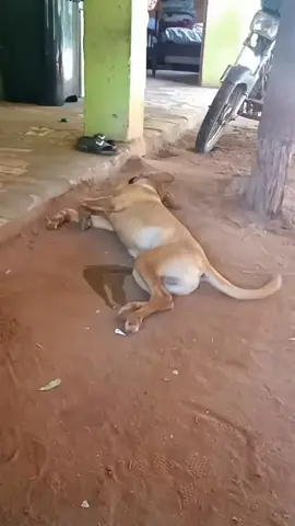 #ตามจังหวะ #CapCut #ร้อยเอ็ด #ฟิดดดดดดดดดดด🥺 