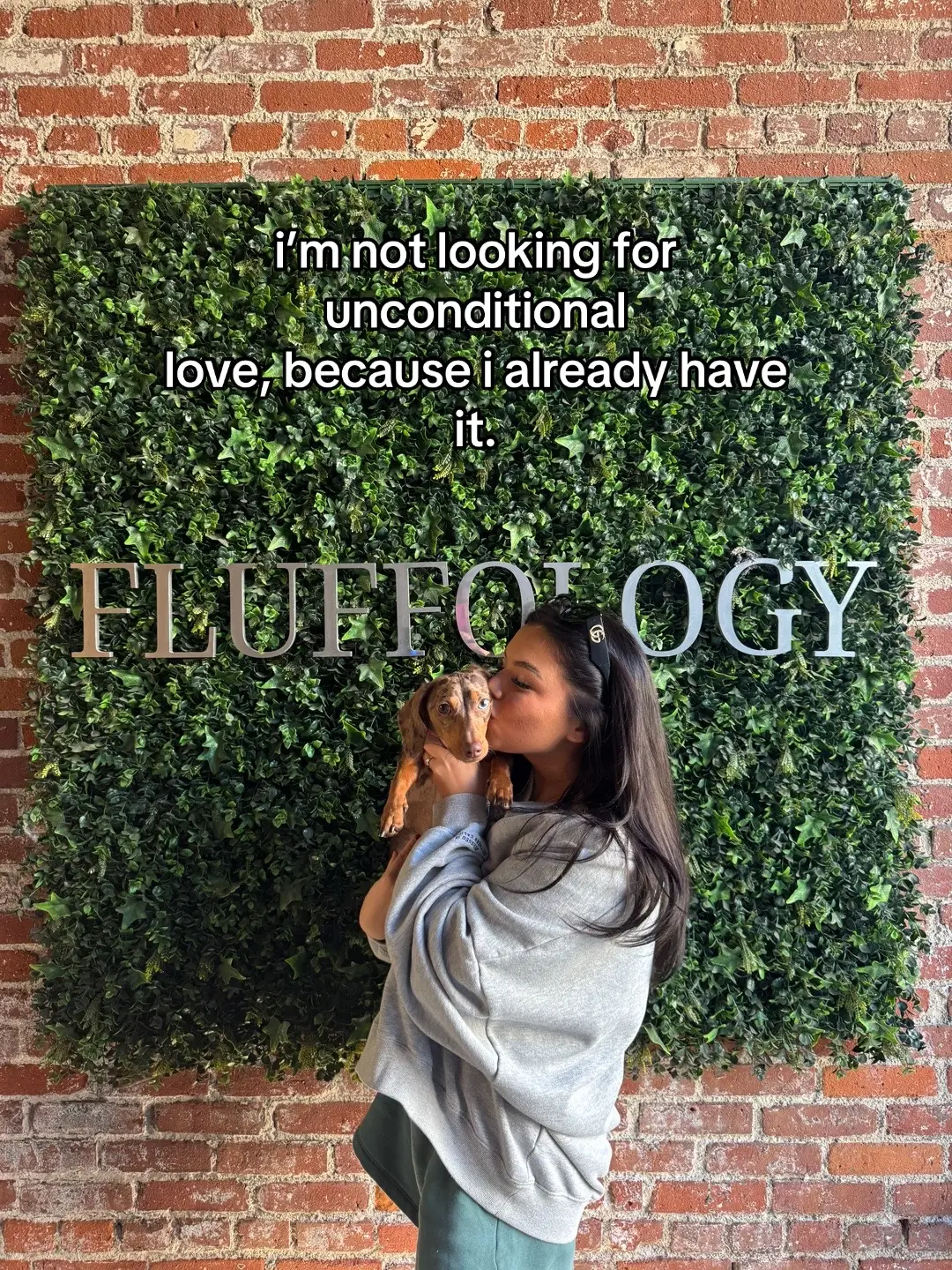 #daschund #daschundpuppy #minidaschund #dogsoftiktok 