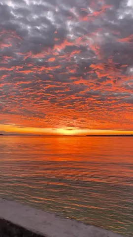 Kalau ada 9 nyawa …… ? Blom bisa moveon dg sunset di KEI 😩🥰😍👏#keiisland🌴🏖️ #sunsetvibes 