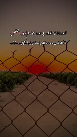 الحياة لا تقف ع احد من عزيز ﮼النفس فا النفس  حره والكرامة فوق ﮼الـجميع🚶🏻‍♂️🖤..#مالي_خلق_احط_هاشتاقات🧢 