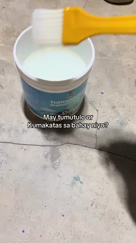 May mga tumatagas or tumutulo ba sa bahay nyo? #homerepair #sealant #glue #waterproofing #fyp 