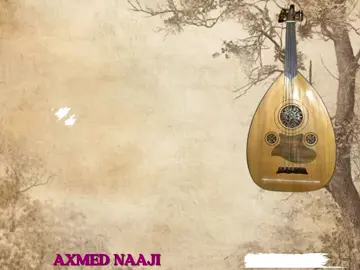#axmed naaji iyo #luul jeelani |doon doonistaadan ku daalayee daaftiin maro adiga kaa dayee | #somalilyris🌺😕💎 #SHAAL_WAYNE #foryoupage 