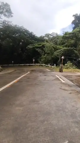 ang orihinal na bitukang manok♥️ basud cam.norte  BICOL NATURAL PARK🌳🪾 Smooth kesa sa andaya highway kung nag iiwas ka sa lubak😂 swak sa mga nature lover, thick forest🩵🌳 from: J-cool moto fb page. #sniper155vva❤️  #bicol 