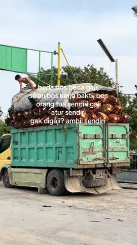 #zmn14 #fyp #fyppppppppppppppppppppppp #fyppp #f 