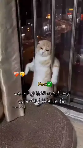 #الجزائر🇩🇿_تونس🇹🇳_المغرب🇲🇦 #متابعه #الشعب_الصيني_ماله_حل😂😂 