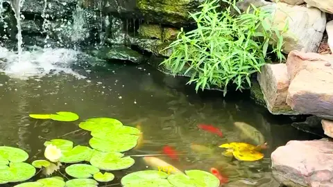 #livingmybestlife #aestheticedits #thisisthelife #goodtimes #fypツ 