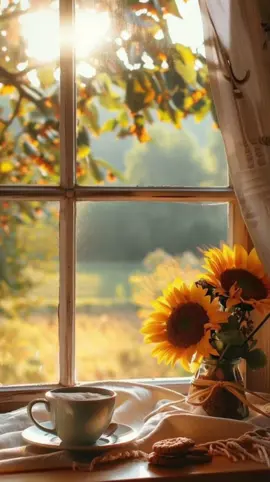 CANSIONES VIEJITAS! Buenos dias señor sol,hermosa cansión... #oldsong #70s #goodmorning #song #fyp 