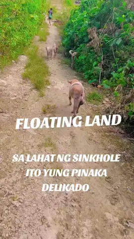#sinkholesanremegio #sinkholecebu #sinkhole #fyp #fyppppppppppppppppppppppp 