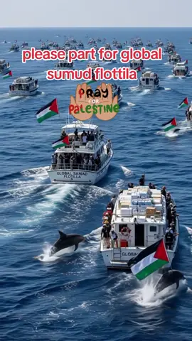 global sumud flottila #tictoktrend #newtrend #fyp #globalsumudflottila #watchtillend 
