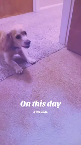 #onthisday