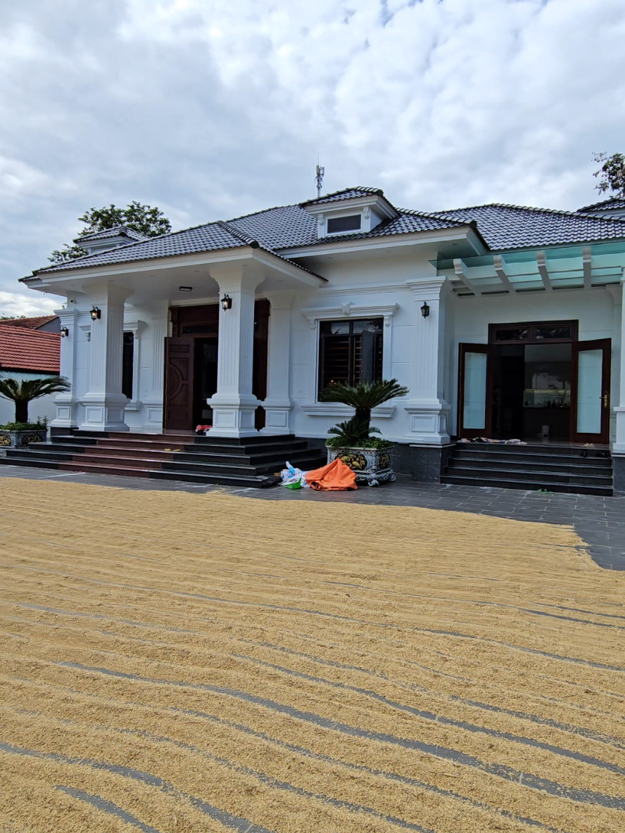 Biệt thự nhà vườn mái nhật tân cổ 3 phòng ngủ. #xuhuong  #bietthunhadep  #bietthunhavuon  #nhadepdaichien  #nhadep2025 