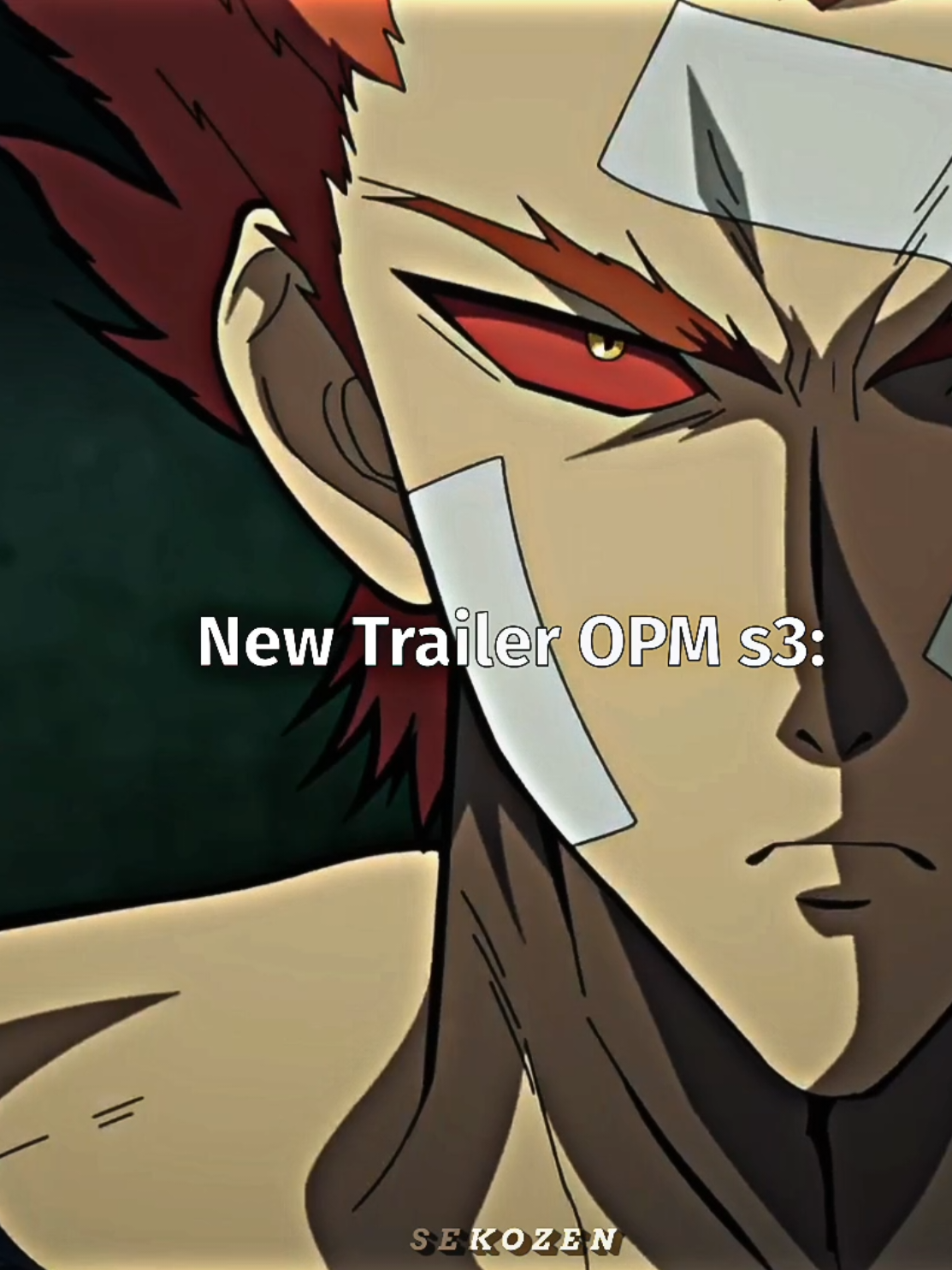 can't wait one punch man s3 🥶🔥 #onepunchman #onepunchmanseason3 #opm #saitama #garou #genos #fyp #marganca #margawof 