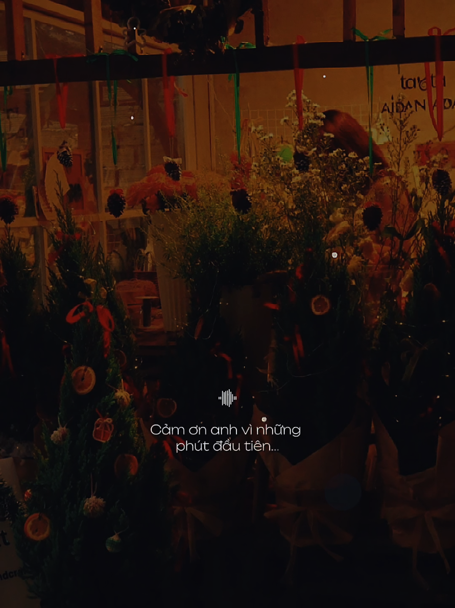 Cảm ơn anh vì những phút đầu tiên vì đã đến khi tim em muộn phiền... [ Nhật Ký Tình Đầu ] #nhatkytinhdau  #nhacbuontamtrang  #tramcamxuc💔  #maucapcut  #pnnguyen39 