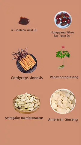 The most powerful health supplement, capable of treating various chronic diseases. #wellness #TCM #immunesupport #vitality #naturalhealth 