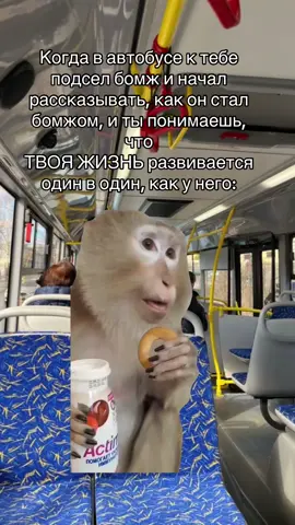 #Meme #MemeCut 