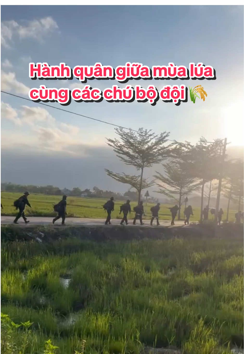 Hành quân giữa mùa lúa cùng các chú bộ đội 🌾🌾🌾 #hanhquan #bodoi #truongquansuquankhu5 #qdndvn #viral 