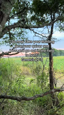 Hard to beat morning views like this! #genesis #huntingtiktok #christiantiktok #bow #archery 