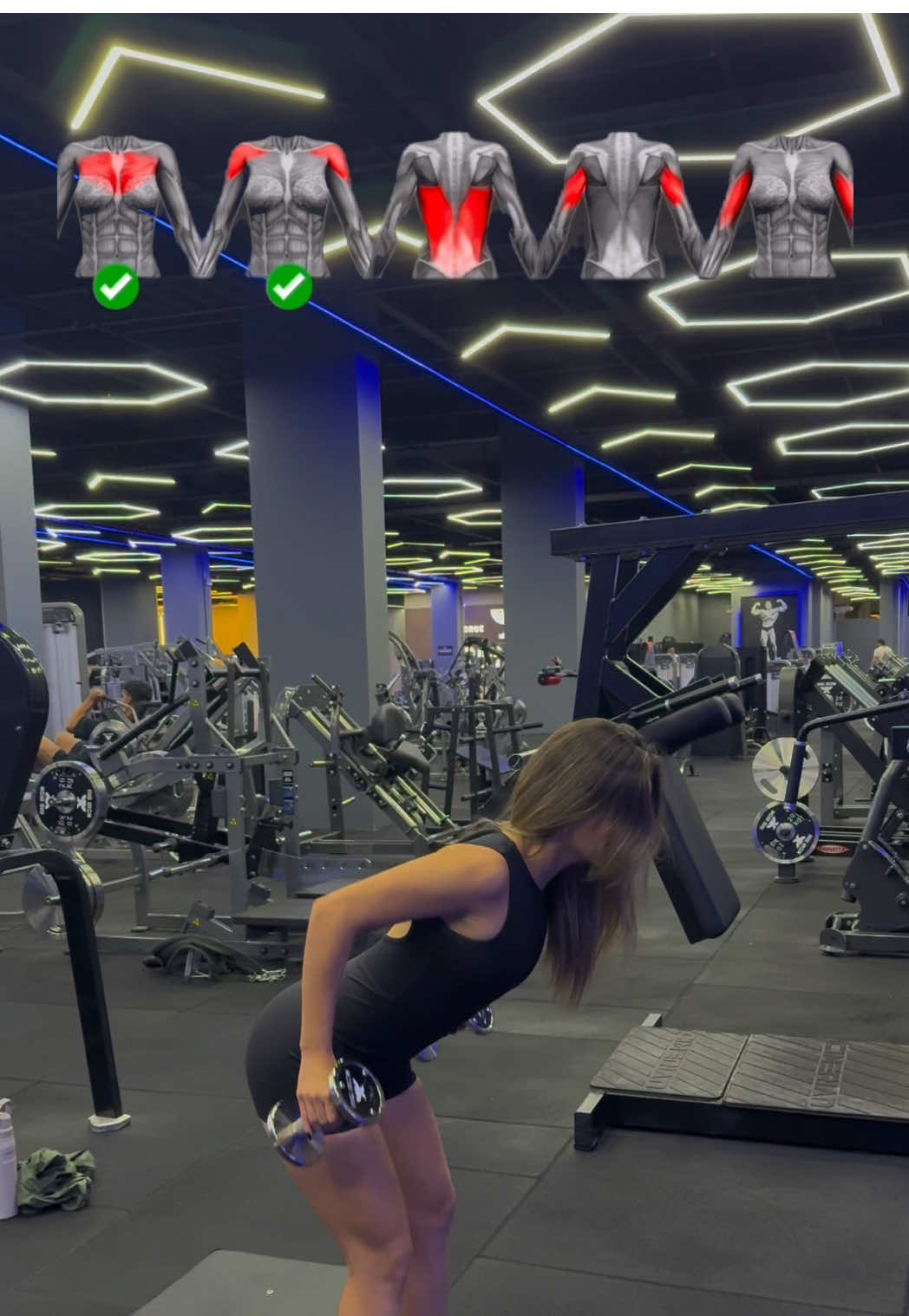 ✅ Exercícios utilizando apenas halteres , pra membros superiores. . . . . #gym #fyp #treinofeminino #treino #academia