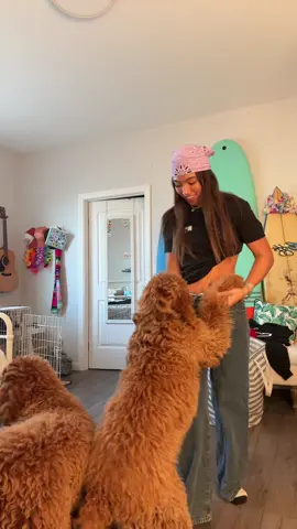 @jaymebrapツ 