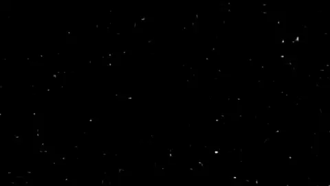 العلاقه دي حرام#اغاني #اغاني_مسرعه💥 #تصميم_فيديوهات🎶🎤🎬 #فديوهات #تيك_توك 