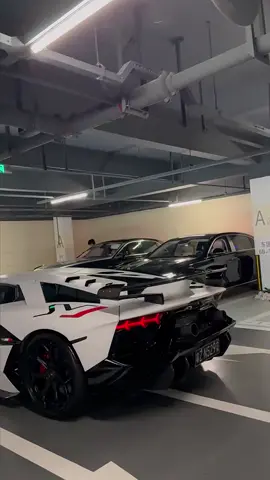 Lúc này, bạn có hiểu được cảm giác trẻ trung và đầy hứa hẹn không?#lamborghini 