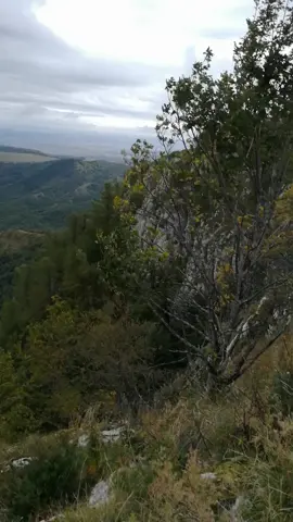 ⛰️🌬️🍂⛰️#100k❤️ #foryoupage♥️♥️ #coltiitrascaului #muntiitrascaului #alba 