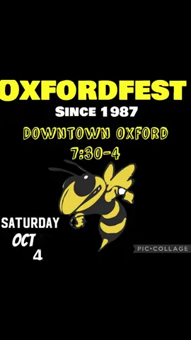Come see us at one of our biggest event  !!!! Oxford fest is near nd dear to our hearts bc it one of the first events we came to as vendors so come down and support our lovely city of Oxford tomorrow #thecrystalmonkey #SmallBusiness #3dprints #crystals #oddities 